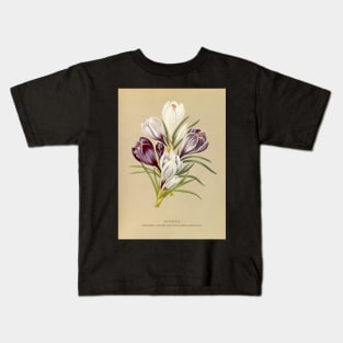 Crocus - botanical illustration Kids T-Shirt